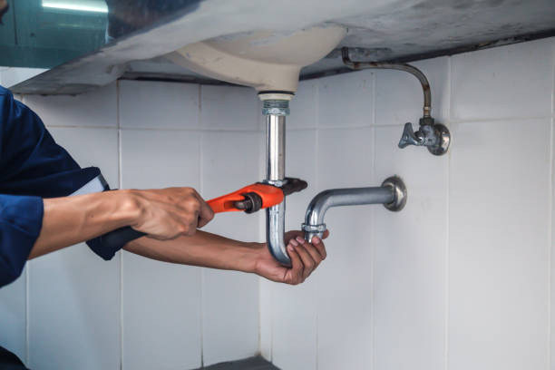 Best Local Plumber Services  in New Haven, CT